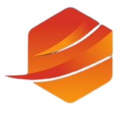 Platinum Transport Logo